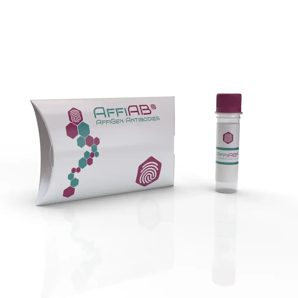 Anti-ADAR1 antibody - 100µg