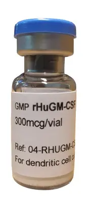 Anti-GM-CSF antibody - 100µg