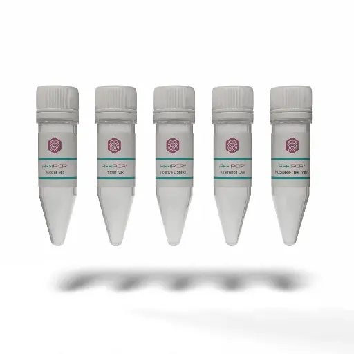 [AS-GEN-02] MycoDect™ Mycoplasma Detection Kit  -  1 Kit