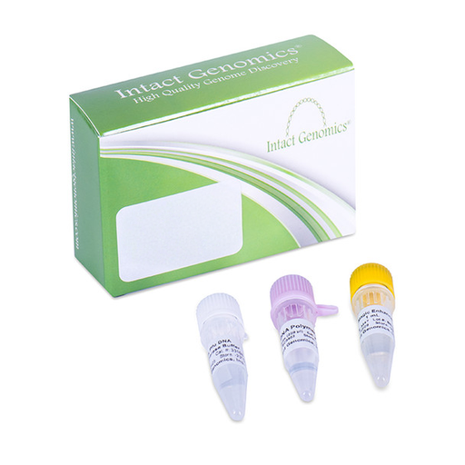 Hot-Start-Taq-DNA-Polymerase