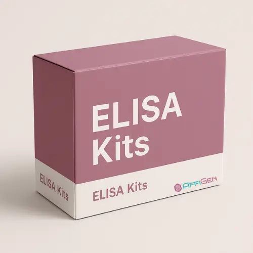 [CELI-66007Rb] Rabbit Cortisone, CRO ELISA Kit - 96tests