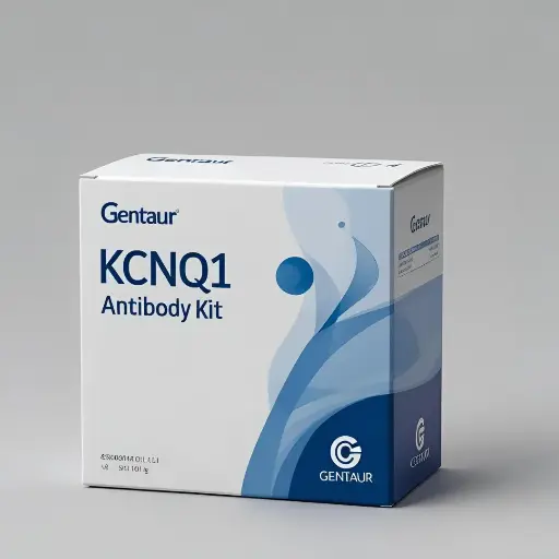 [ABD7568] KCNQ1 Antibody - 100µg
